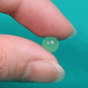 Kẹo ngậm phòng the DENTISTE MASTIC MINT bạc hà kẹo BJ