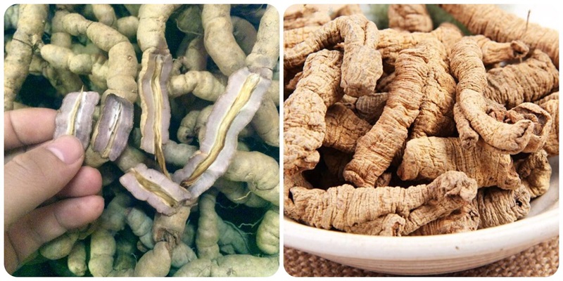 sản phẩm và thành phần